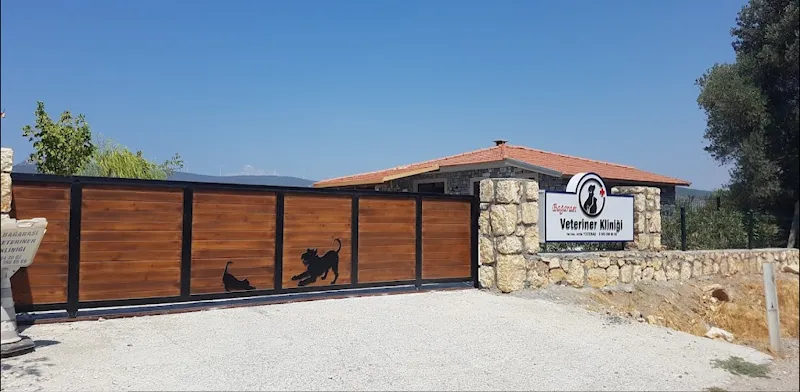 Bağarası Veteriner Kliniği foto 1