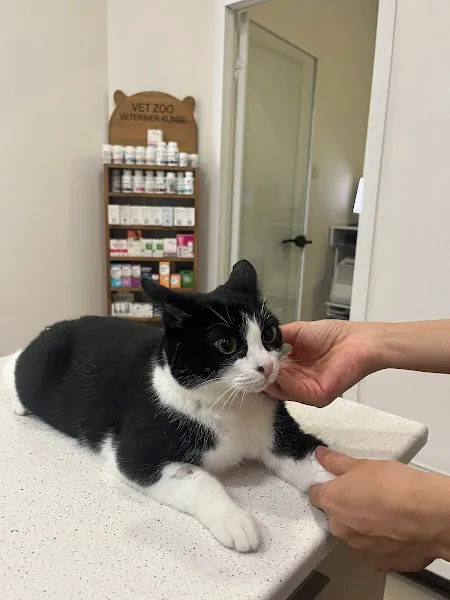 Maslak Vet Zoo Veteriner Kliniği foto 2