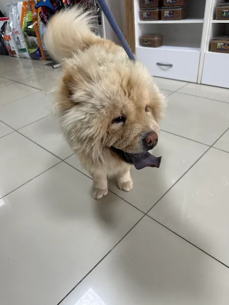 Kaan Veteriner Kliniği foto 2