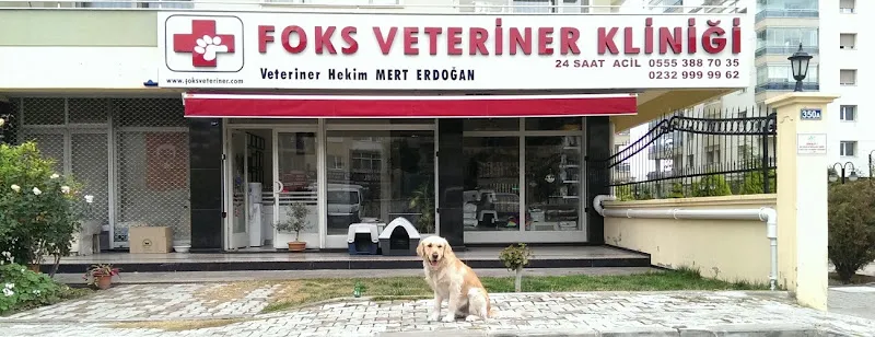 Foks Veteriner Kliniği foto 1