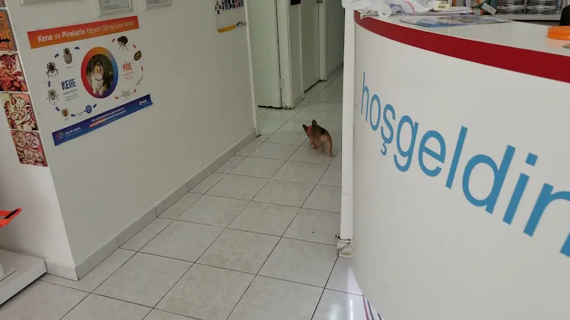 Pati Veteriner Kliniği foto 2
