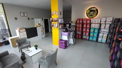 BAL PETEĞİ VETERİNER KLİNİĞİ - ELAZIĞ VETERİNER - ELAZIĞ VETERİNER KLİNİĞİ