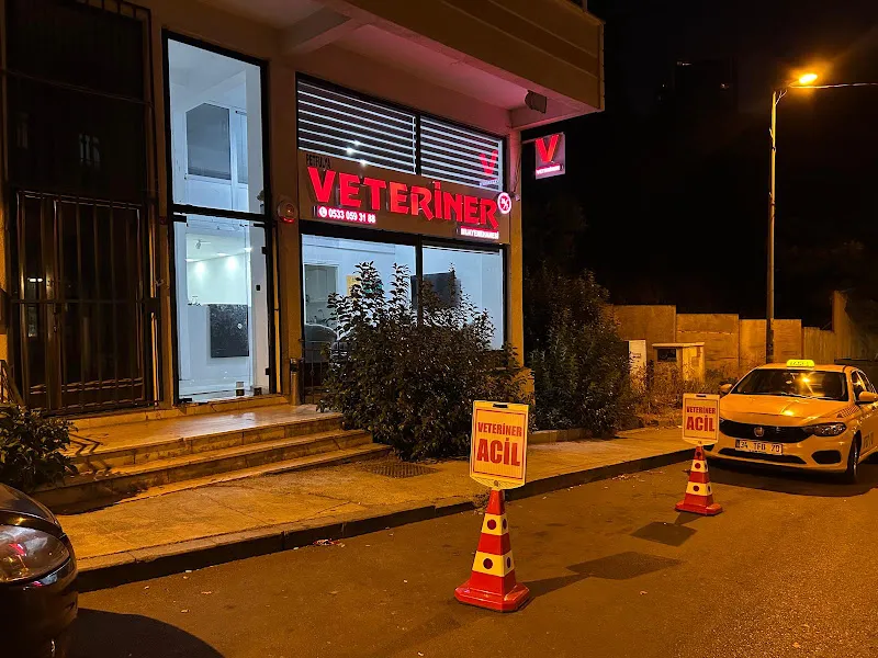 Şişli PetFulya Veteriner Kliniği - 7/24 Acil Veteriner foto 1