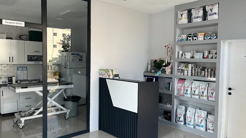 Dalaman On7 Veteriner Kliniği foto 2