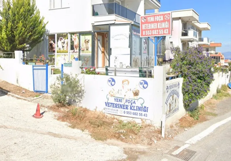 Yeni Foça Veteriner Kliniği foto 1