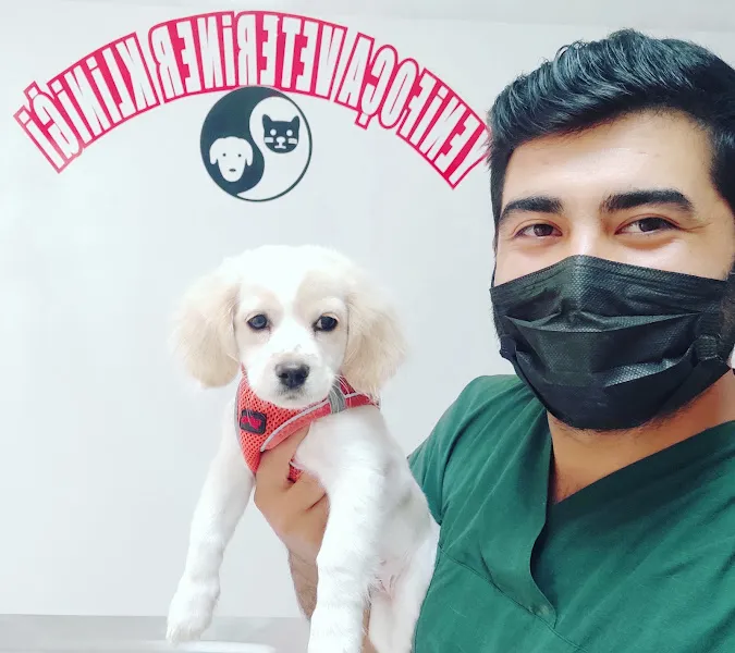 Yeni Foça Veteriner Kliniği foto 2
