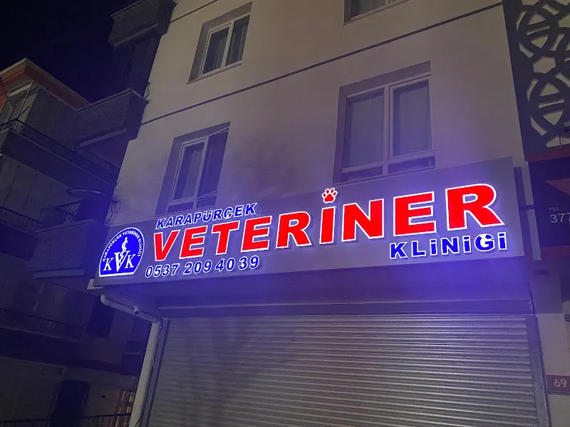 Karapürçek Veteriner Kliniği foto 1