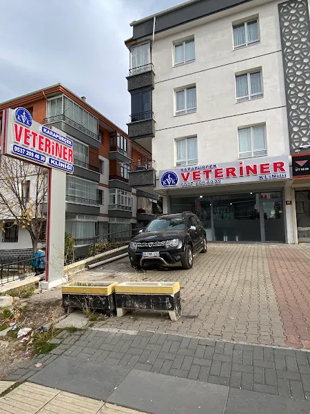 Karapürçek Veteriner Kliniği foto 2