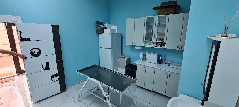 Kuzeykent Veteriner Kliniği foto 1