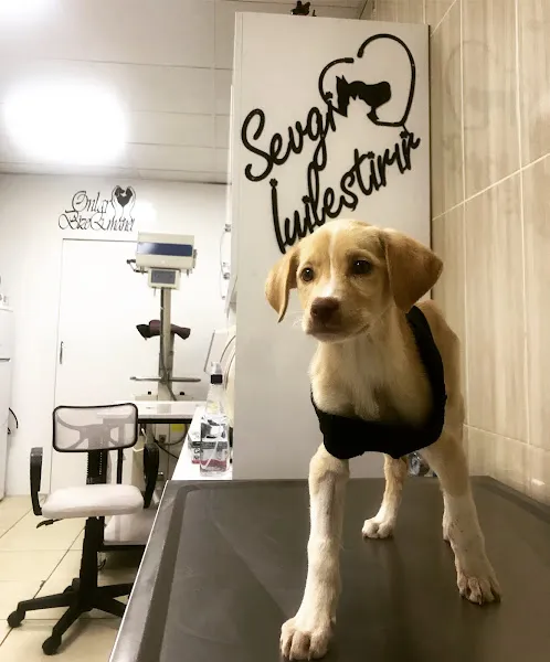 Tokat Çınar Veteriner Kliniği foto 2