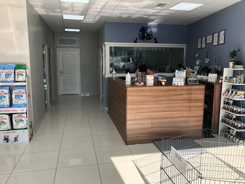 ESENLER Arvet Veteriner Muayenehanesi foto 2