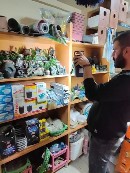 Helin Petshop Akvaryum foto 2