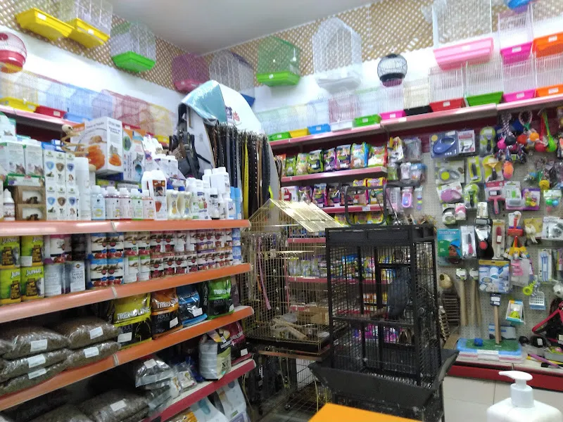 Kdz.Ereğli - Gezer Akvaryum - Petshop foto 2