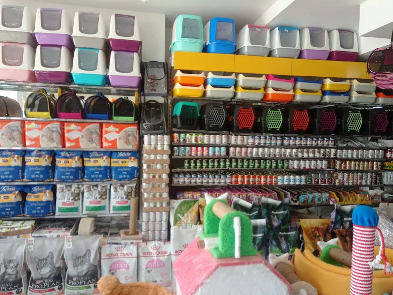 Çubukpetshop foto 2