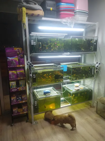 Nehir Petshop foto 2