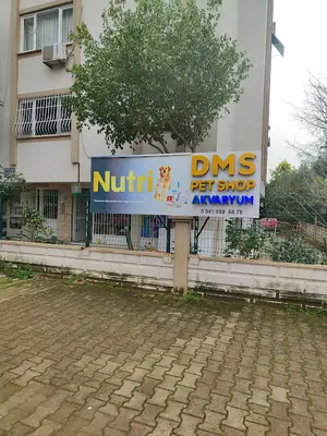 DMS AKVARYUM PETSHOP fotoğrafı