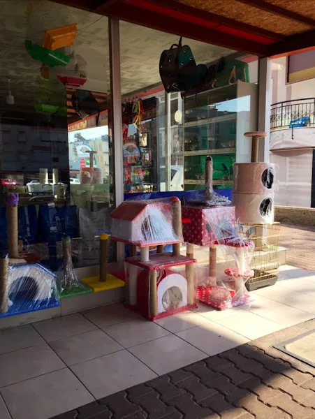 DMS AKVARYUM PETSHOP foto 2