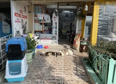 İzmir Pets fotoğrafı