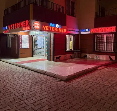 Vetos veteriner kliniği