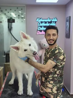 İZMİT PET KUAFÖR Anestezisiz Kedi Köpek kuaförü Tavşan Petkuaförü pet kuafor