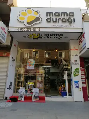 MAMA DURAĞI