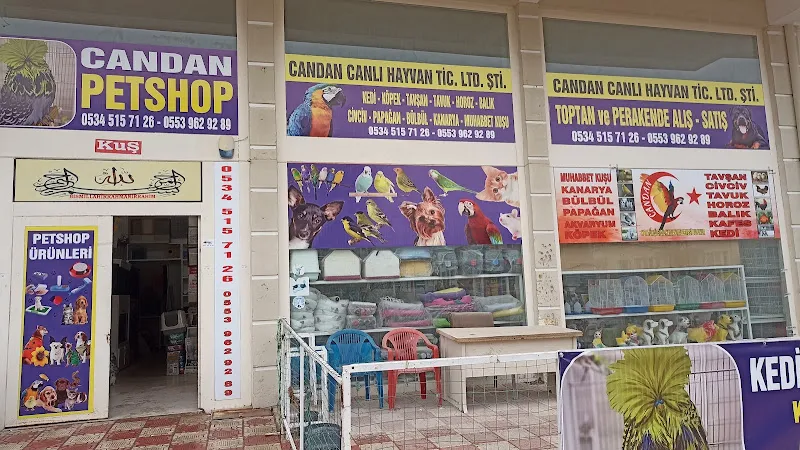 Candan Petshop foto 1