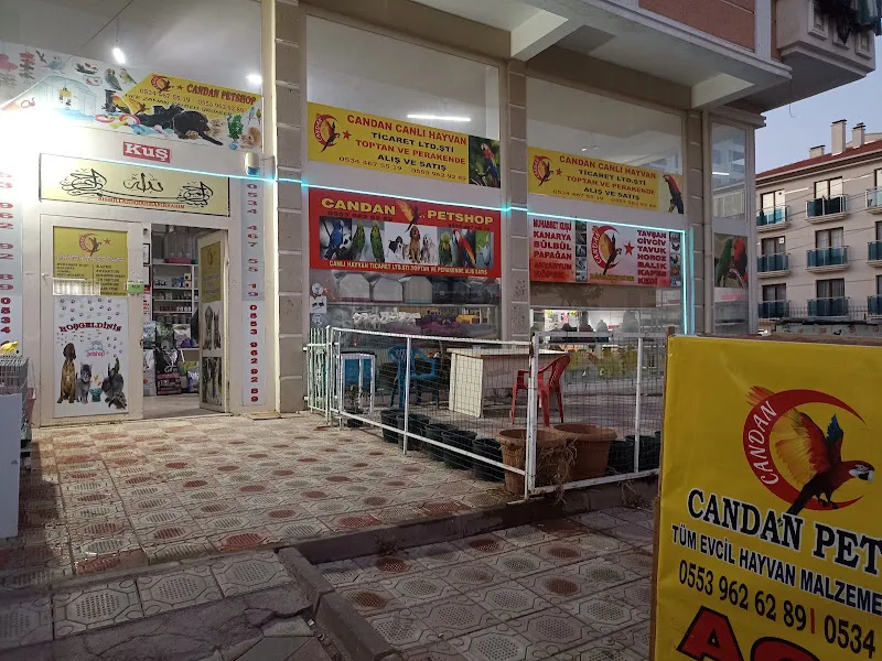 Candan Petshop foto 2