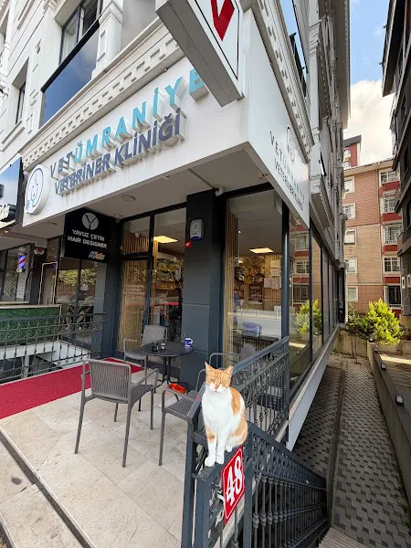 Vet Ümraniye Veteriner Kliniği ( VetÜmraniye ) foto 2