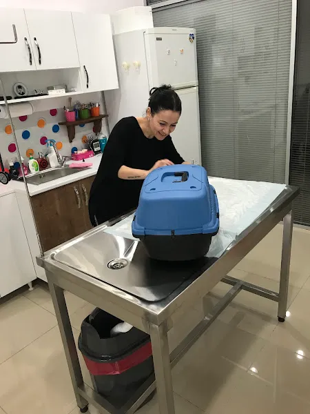Doğa’m Veteriner Kliniği foto 2