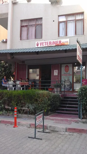 Veteriner Hekim Murat Topcuoğlu foto 1