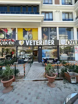 Onikişubat Veteriner Kliniği