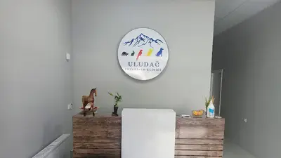 Uludağ Veteriner Kliniği | 7/24 Acil Veteriner | Bursa Veteriner | Nöbetçi Veteriner | Osmangazi Veteriner fotoğrafı