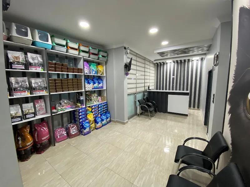 VetClinic Veteriner Kliniği foto 2