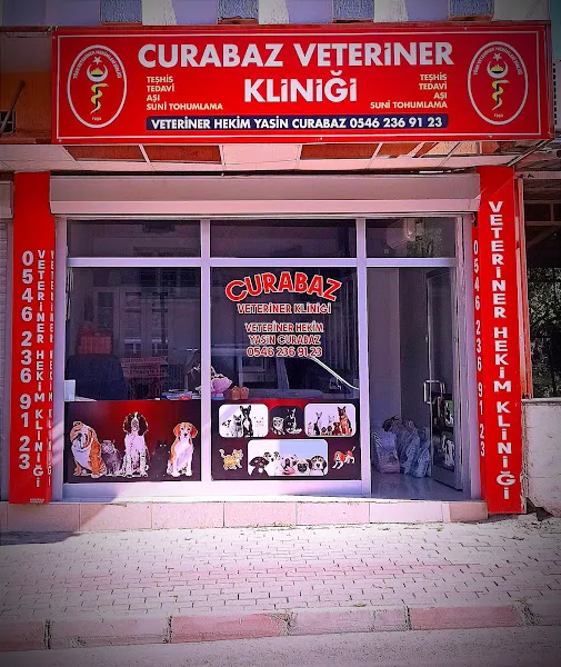 KADİRLİ CURABAZ VETERİNER KLİNİĞİ foto 2