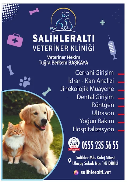 Salihleraltı Veteriner Kliniği foto 2