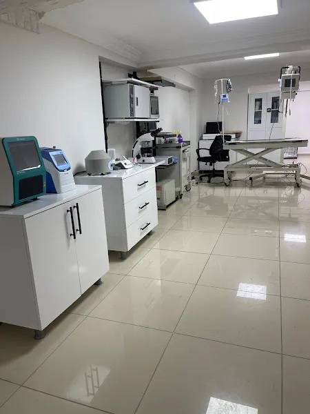 VetLife Bilecik Veteriner Kliniği foto 2