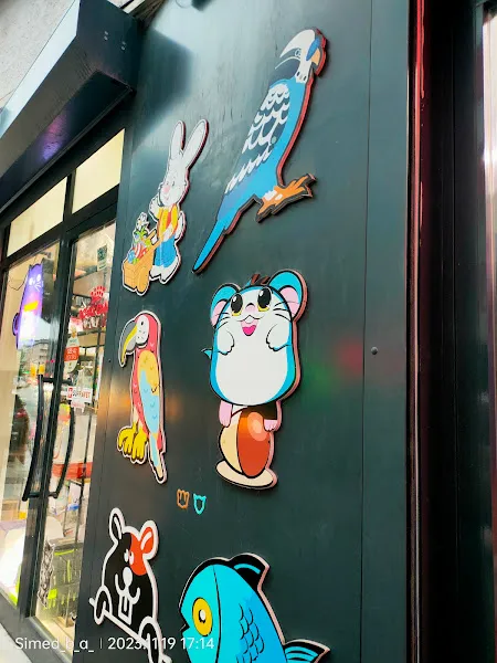 Kadıköy Kedi Oteli&Pet Shop foto 2