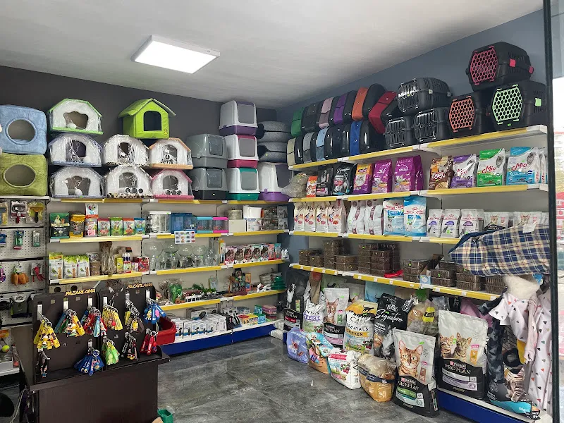 LAVİE PETSHOP 2.ŞUBE foto 2