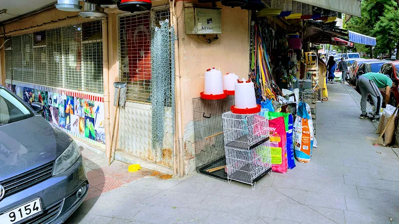 Mine Petshop foto 2