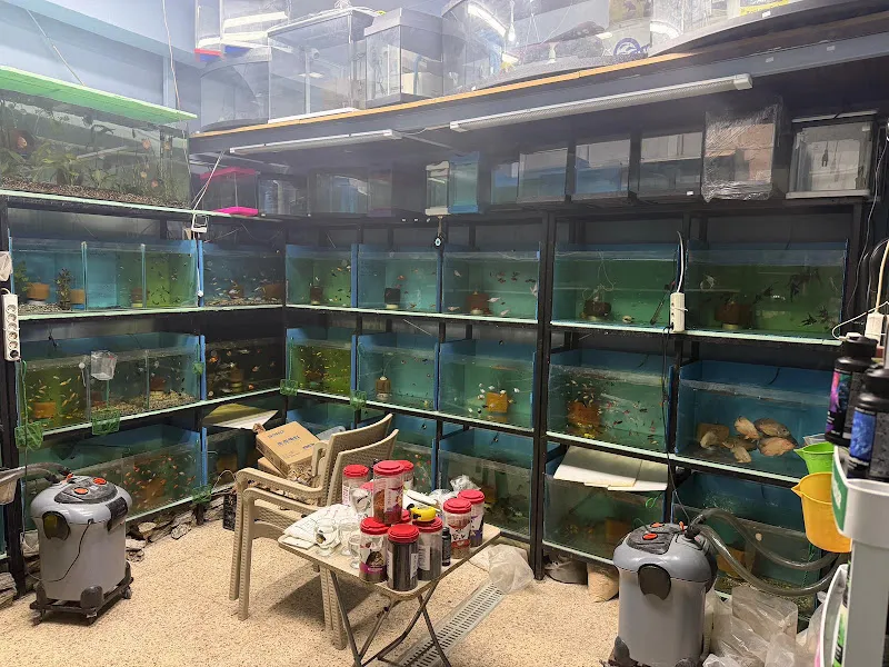 Eskiizmir petshop & akvaryum foto 2