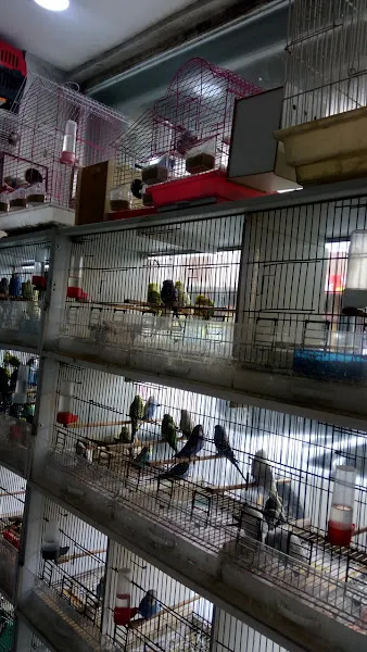 İstanbul akvaryum&petshop foto 2