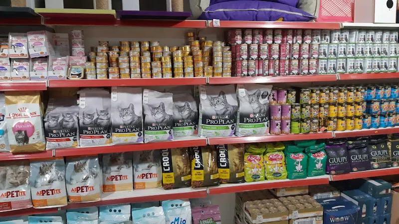 Efsane Pet Shop foto 2