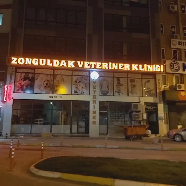PETZON Veteriner Kliniği foto 2