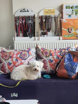 Diyarbakır veteriner Petshome