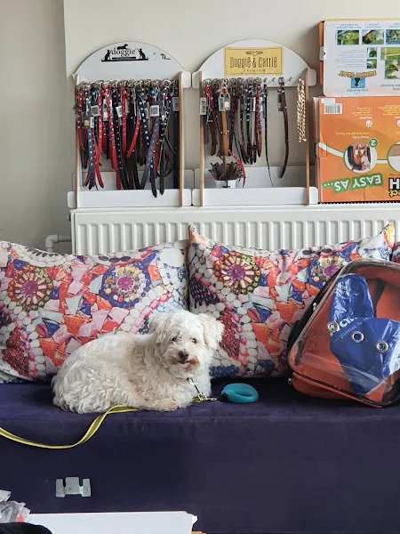 Diyarbakır veteriner Petshome foto 1