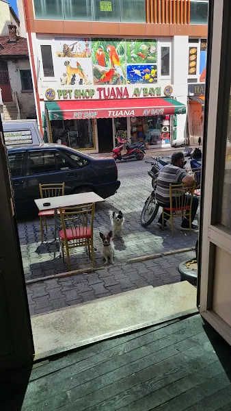 Tuana Pet-Shop ve Av Bayii foto 2