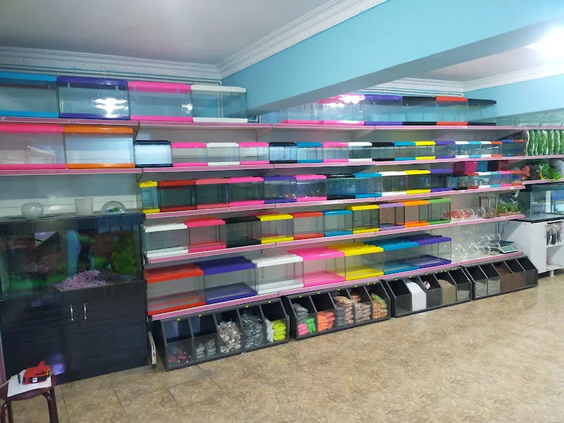 Hayvanlar Alemi Petshop foto 2
