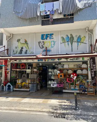 Efe Petshop Manavgat fotoğrafı