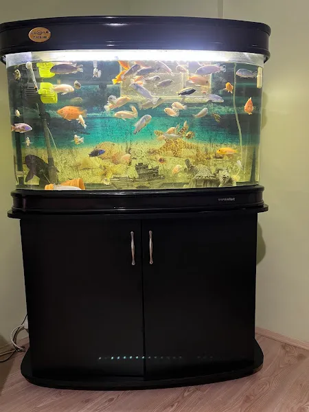 EMİN AKVARYUM & PETSHOP foto 2