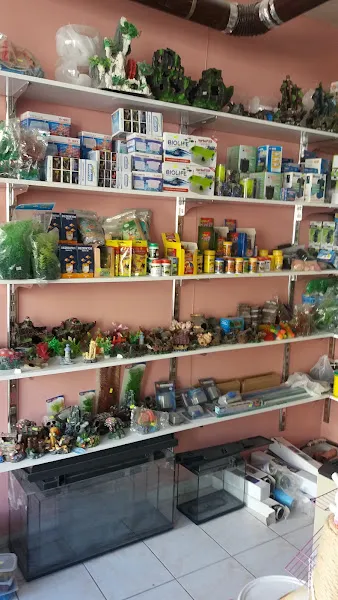 Karanfil Petshop foto 2
